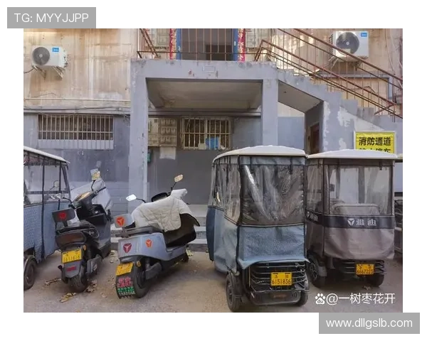 安家立业，不止是拥有一个住所，更是拥抱一种生活——我的“家住小区”故事